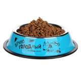 Portable Travel Stainless Steel Bowl For Feeder
