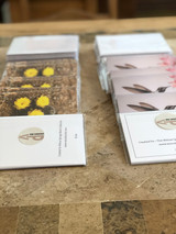 Southwest Birds Southwest Birds