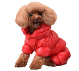 Luxury Winter Pet Coat