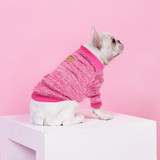 Winter Pet Clothes