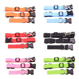New Waist Pet Leash