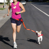 New Waist Pet Leash
