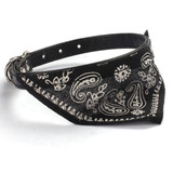PawPals Bandana Design Collar