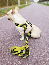 BODYGUARD | DOG NYLON LEASH