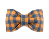 COUNTRYSIDE | LEASH & COLLAR & BOW TIE