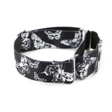 BUTTERFLY | MARTINGALE DOG COLLAR