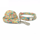 POPPY | LEASH & COLLAR & BOW TIE