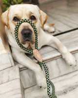 OLIVER | SLIP ON LEASH