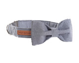 GENTLEMAN | LEASH & COLLAR & BOW TIE