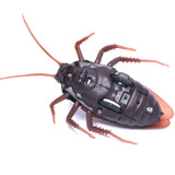 Remote Control Cockroach ™