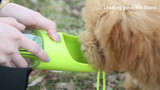 Dog & Cat Water Bottle