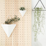 Wall Mounted Flower Pot