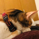 Adjustable Tribal Pet Collar