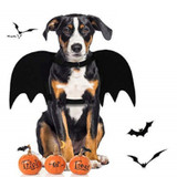 HOT Halloween Pet Dog Costumes Bat Wings Black Cute Fancy Dress Up Halloween Pet Dog Cat Costume with Leash