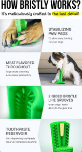 DOG DENTAL CARE TOOTHBRUSH