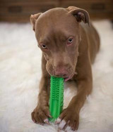 DOG DENTAL CARE TOOTHBRUSH