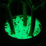 Glow-In-The-Dark Garden Pebbles