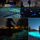 Glow-In-The-Dark Garden Pebbles