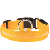 Premium Glow-In-The-Dark LED Safety Collar