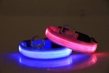Premium Glow-In-The-Dark LED Safety Collar