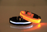 Premium Glow-In-The-Dark LED Safety Collar