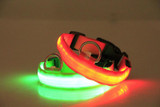 Premium Glow-In-The-Dark LED Safety Collar