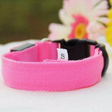 Premium Glow-In-The-Dark LED Safety Collar