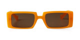Cassandra Rectangle Sunglasses