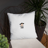 Not so Basic Pillow