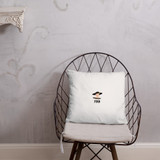 Not so Basic Pillow