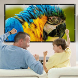 Portable Giant Outdoor Movie Screen