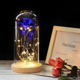 Red Rose in a Glass Dome