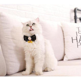 Cat Bow Collar