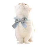 Cat Collar with Large Bow Tie and Adjustable Strap