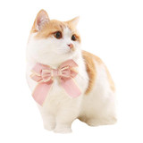 Cat Collar with Large Bow Tie and Adjustable Strap