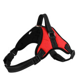 Easy Walk Dog Harness, Collar, and Leash Set