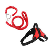 Easy Walk Dog Harness, Collar, and Leash Set