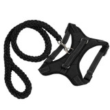 Easy Walk Dog Harness, Collar, and Leash Set