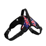 Easy Walk Dog Harness, Collar, and Leash Set