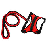 Easy Walk Dog Harness, Collar, and Leash Set