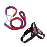 Easy Walk Dog Harness, Collar, and Leash Set