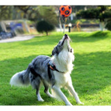 Rubber Chewing Ball for Dogs