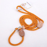 Adjustable Training Dog Leash