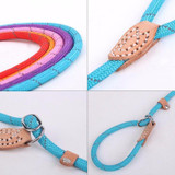 Adjustable Training Dog Leash