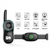 Rechargeable Dog Training Collar with Remote Control