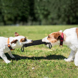 Dog Bite Tugs Toy with Handle Strap for Dog Training