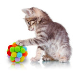Candy Color Ball Cat Toy Filled with Organic Catnip