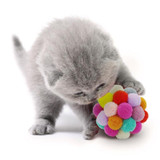 Candy Color Ball Cat Toy Filled with Organic Catnip
