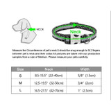Personalized Dog Collar for Medium and Large Dogs