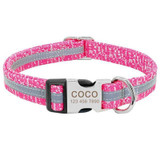 Personalized Dog Collar for Medium and Large Dogs